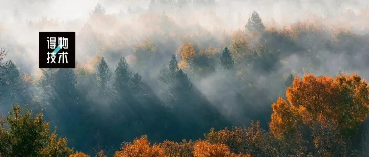 从 JSON <em>字符串</em>到 Java 对象：Fastjson 1.2.83 全程解析｜得物技术