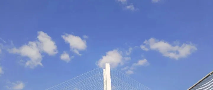 <em>Digital</em> market 14