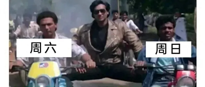 <em>meme</em>梗图：还在享受周末的我~
