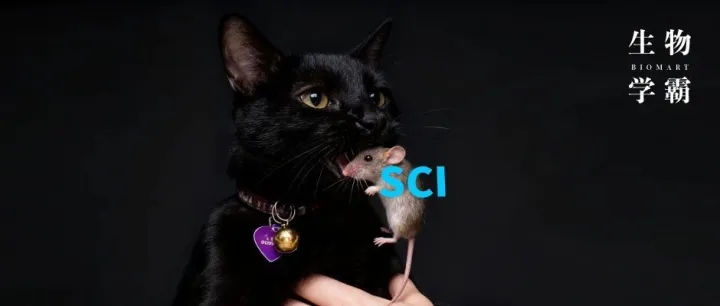叼死<em>老鼠</em>给教授，竟测出新型病毒发 SCI，这波血<em>赚</em>