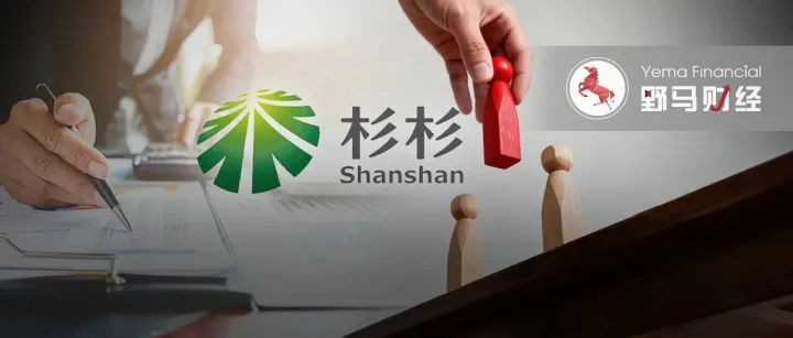 杉杉<em>集团</em>重整现“狸猫换太子”！“民营船王”695亿资本局遭盟友起诉