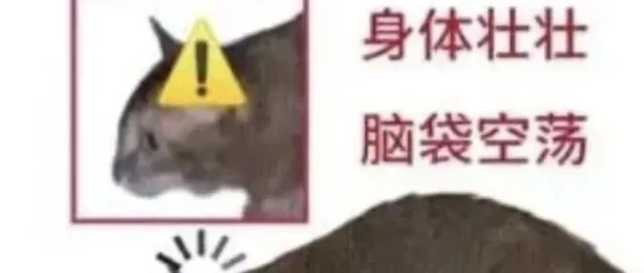 抽象小猫<em>meme</em>表情包*₍ᐢ .  ̫.ᐢ₎