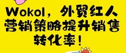 Wokol，外贸红人营销<em>策略</em>提升销售<em>转化率</em>！