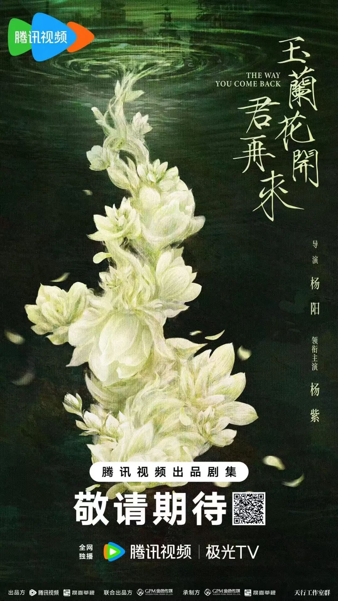 腾讯视频《玉兰花开君再来》:杨阳导演,黄杰、王裕仁总制片人- 大数跨境