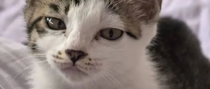 裹着星光的天使-<em>花花</em>