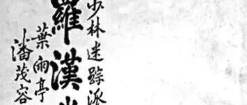 少林迷蹤派<em>羅</em>漢拳（下）
