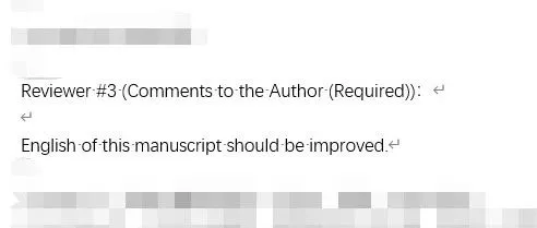 审稿专家：English <em>should</em> be improved
