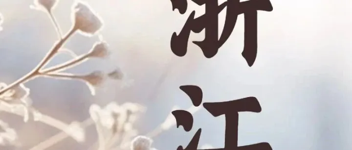 11月浙江展会排期，精彩抢先看！