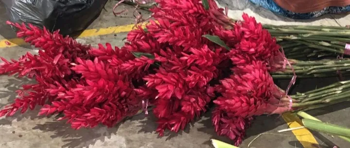 <em>I</em> went to Ltk town <em>today</em>