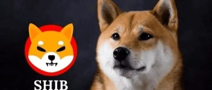 我花10块钱买<em>SHIB</em>，万一涨到1美元？算完惊呆了！