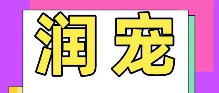 展商风采 | 润宠商贸——携麦富迪、靓贝、维立可、海之格、伊索等品牌惊喜亮相第3届趣宠会