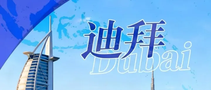 从中国<em>广州</em>运往迪拜物流专线，专注双清<em>包</em>税<em>门</em>到<em>门</em>，普货&大件货都能运，安心直达！