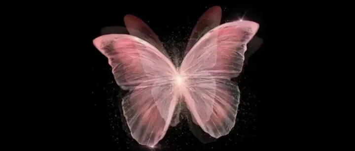 蒙古<em>对外贸易</em>结构