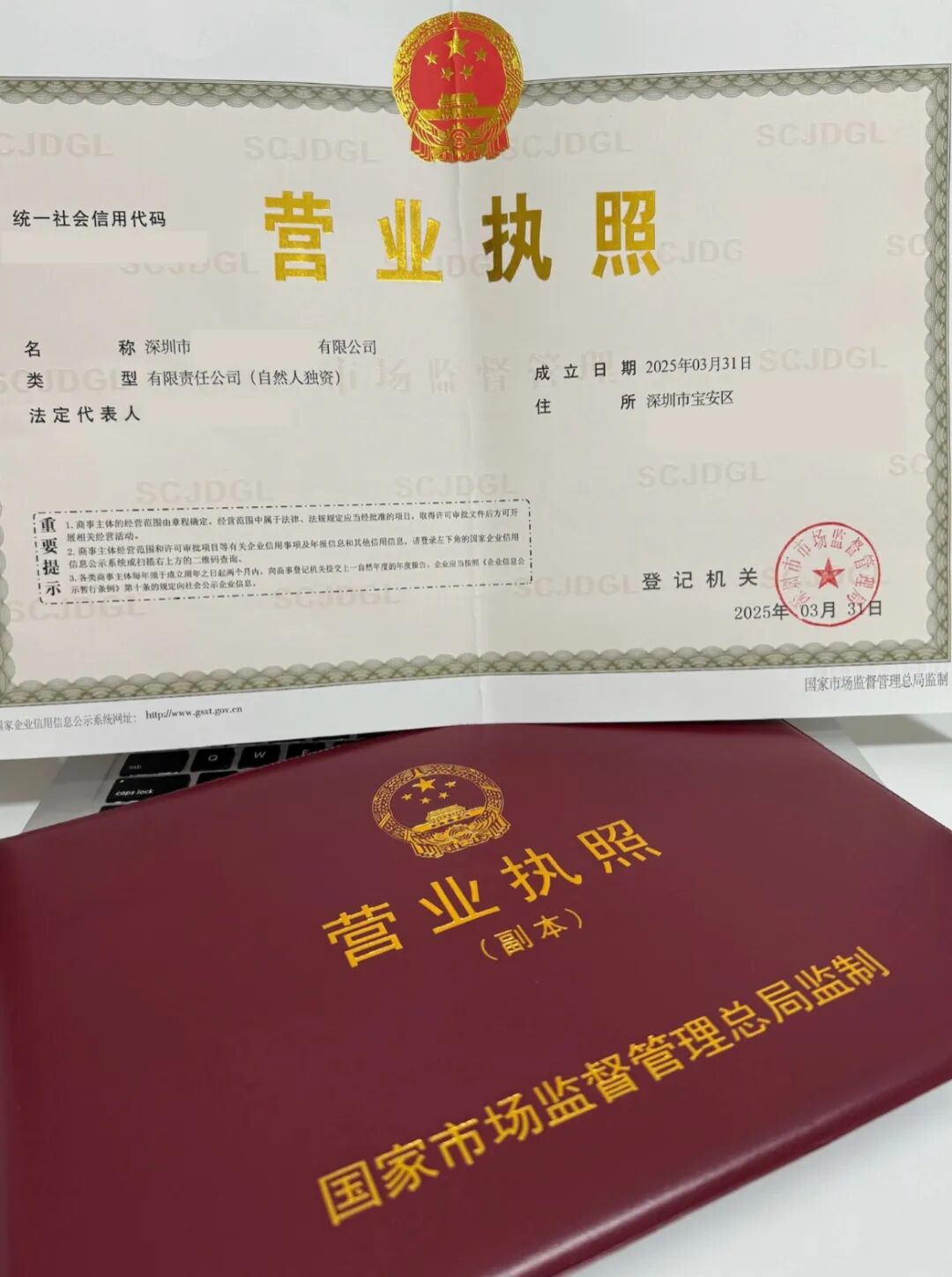 超全公司设立登记流程指南！新手看完也能自己办理（附详细操作教程）- 大数跨境
