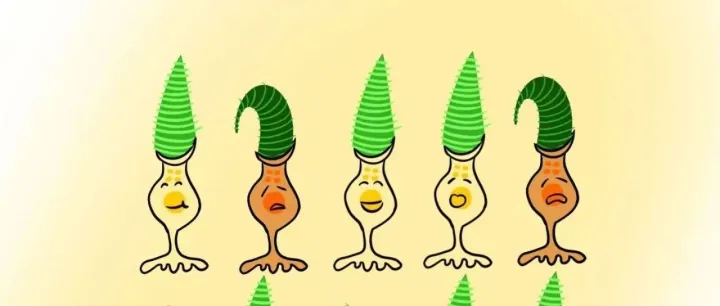 <em>不</em>吹<em>不</em><em>黑</em>测评：什么是<em>点</em>扩散技术（DOT）眼镜？效果到底如何？