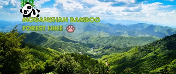 MOGANSHAN【Oct 18】<em>1D</em> Bamboo Forest Hike!