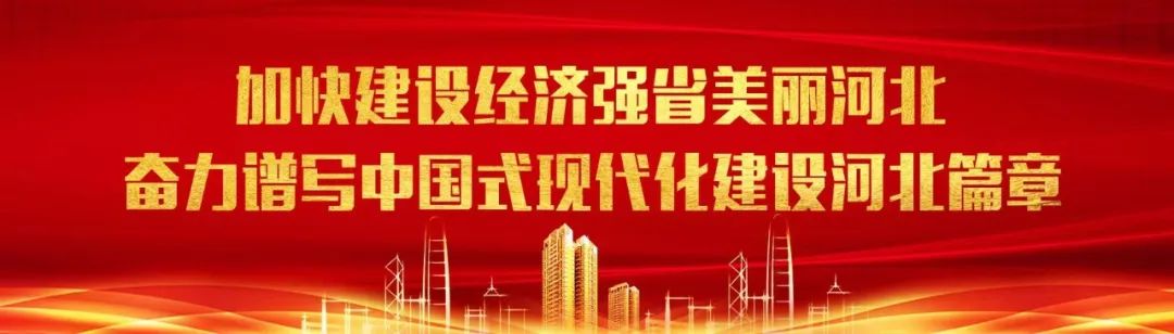 【高质量发展看白沟】⑤电商赋能 箱包产业高质量发展迈入新征程- 大数跨境
