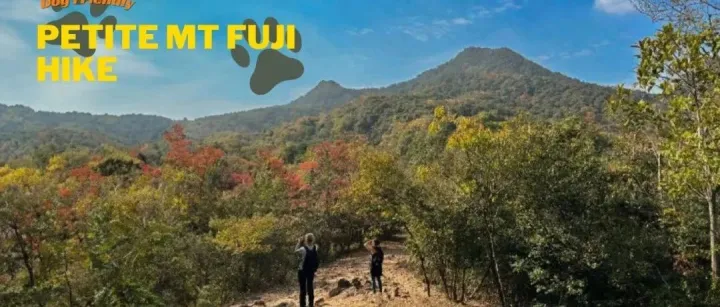【Nov 1】1d Petite Mt Fuji Hike, <em>dog</em> friendly!
