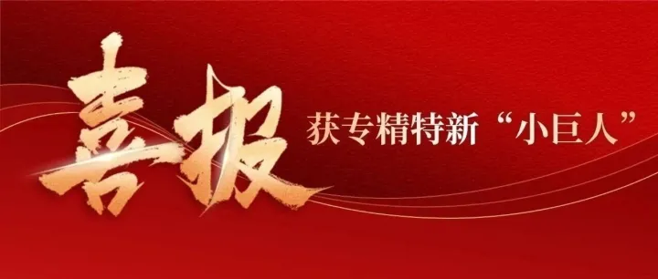 国家级专精特新“小巨人”+1！达梦数据全资子公司成功入选