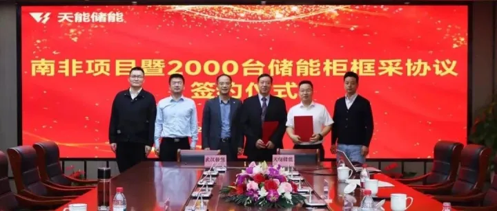 5年！南非！天能储能签订海外长单