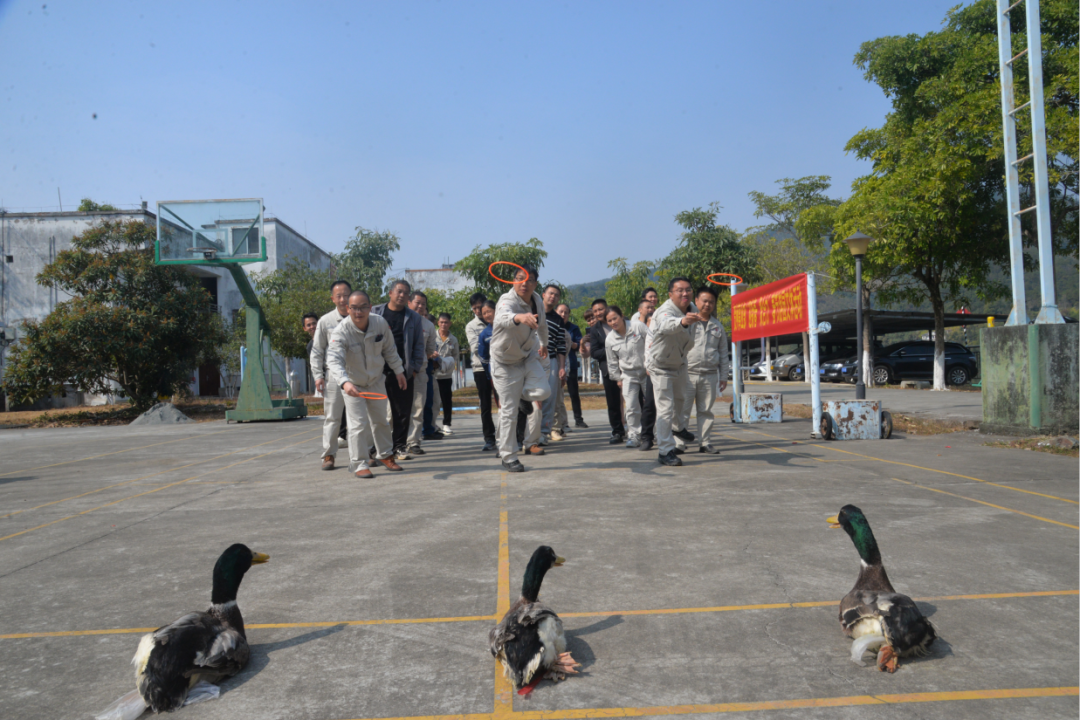 春节“套鸭子”趣味活动.png