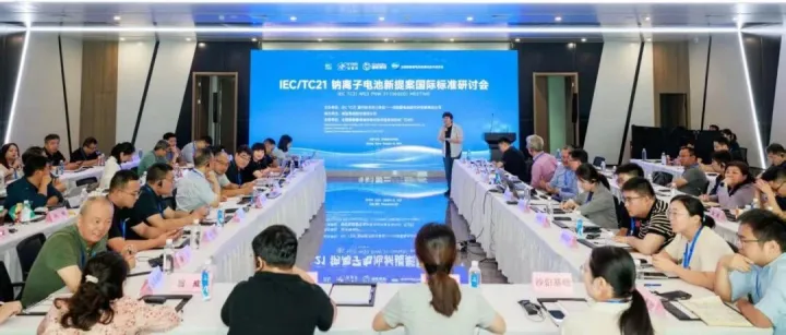 天能电池参与汽车起停用<em>12V</em>钠离子电池国际标准提案