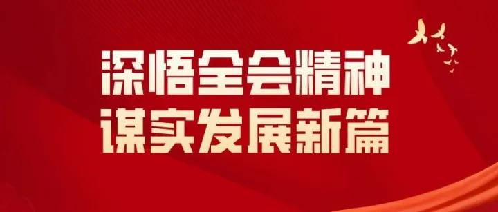 深悟全会精神 谋实发展新篇