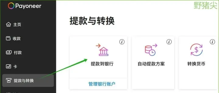 个人Payoneer派安盈能否提款到对公账户？