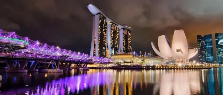 SINGAPORE <em>FOUNDATION</em> 新加坡基金会