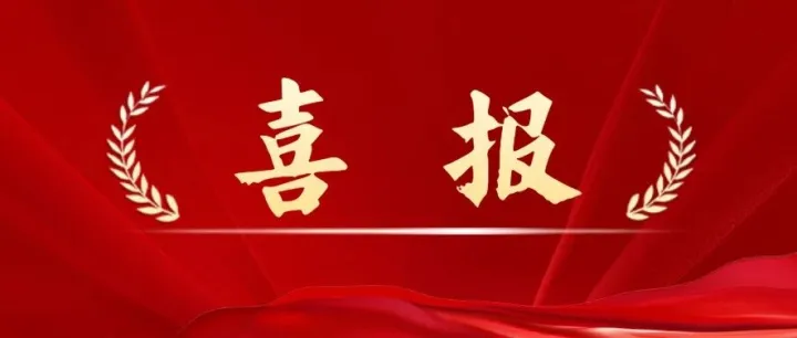 好消息！连续中标！