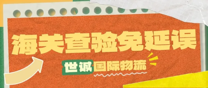 海关查验查什么？掌握关键细节，避免延误！