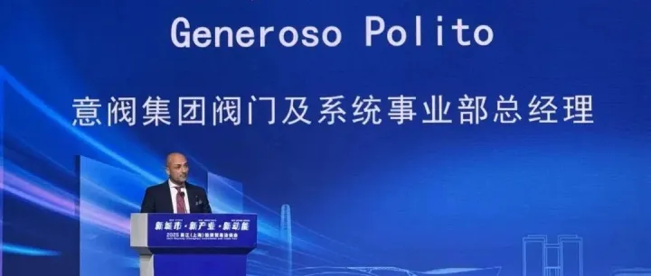 CICC at Wujiang <em>Investment</em> Promotion Conference with Valvitalia