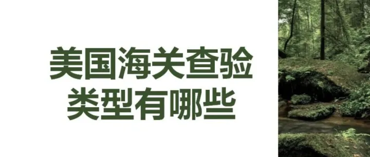 美国海关查验类型