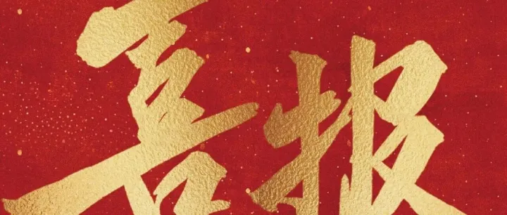 喜报！宁波建航国际货运代理有限公司荣获2025年宁波市服务业百强企业