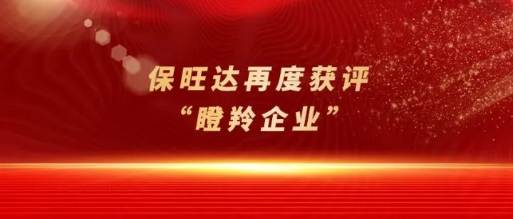 保旺达蝉联“瞪羚企业”，垂直聚焦<em>数据</em>安全<em>领域</em><em>驱动</em>高成长力迸发