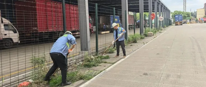 挥锄实干美环境——仓储部开展堆场除草专项活动