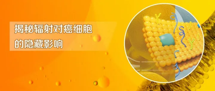 Orbitrap Exploris 240“力挑”单细胞脂质分析难题——揭秘辐射对癌细胞的隐藏影响