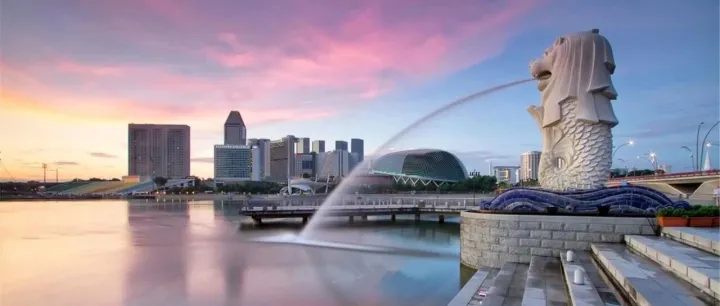 不飞新加坡、不懂财税，也能开通Stripe账户！超详细的新加坡公司注册+Stripe开户实操指南（附亲测平台）