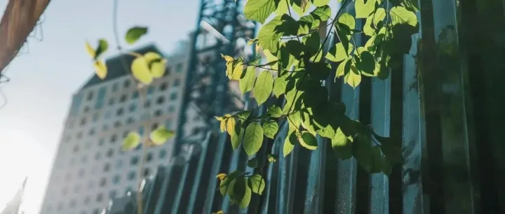 [30th October] <em>Carbon</em> Neutrality Conference 2025