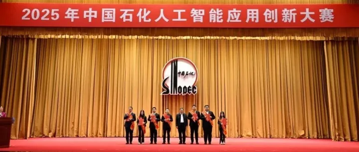 强！公司选手勇夺2025年中国石化人工智能应用创新大赛金奖