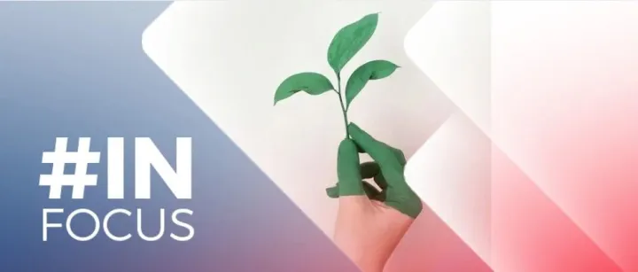 IN FOCUS | <em>Environment</em> Working Group