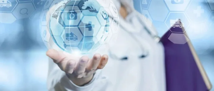 Meet our Working Groups | <em>Healthcare</em>