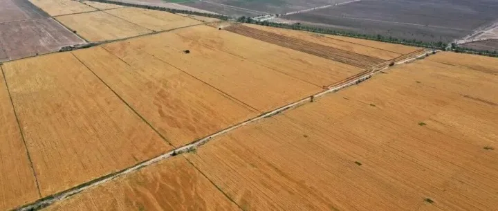 筑牢农安根基　守护“舌尖安全”——“十四五”期间我国农产品质量安全跃上新台阶