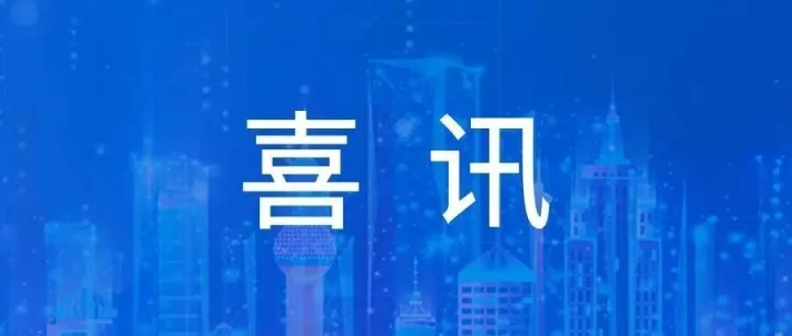 喜讯！网新软件成功中标浙江省市场监管数治平台项目