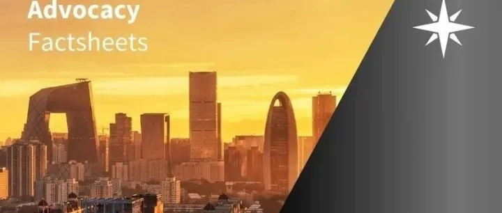 How are German companies <em>investing</em> in China?