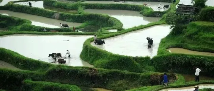 周应恒、黄宸宇：发展服务贸易是稳外贸扩内需的重要举措