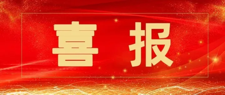 【公司荣誉】鼎<em>胜</em><em>新</em>材入选江苏民营企业<em>百</em>强榜单！