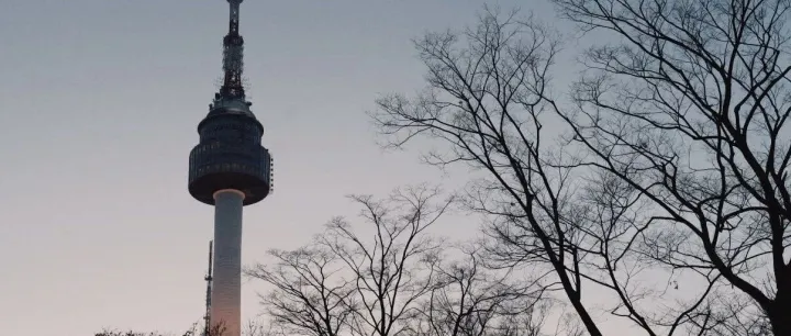 第47周(11.17-11.23）上海-韩国运价