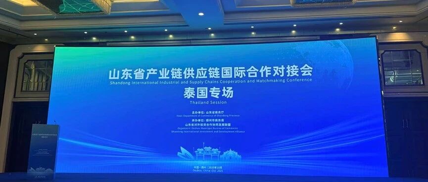 【园区新闻】泰中罗勇助力山东产业链供应链国际合作- 大数跨境