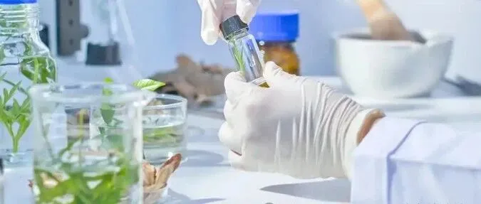 kol达人<em>营销</em>的方式<em>方法</em>？